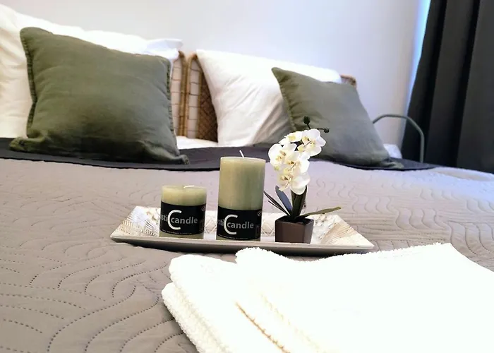 Apartments Schwandorf מלון דירות