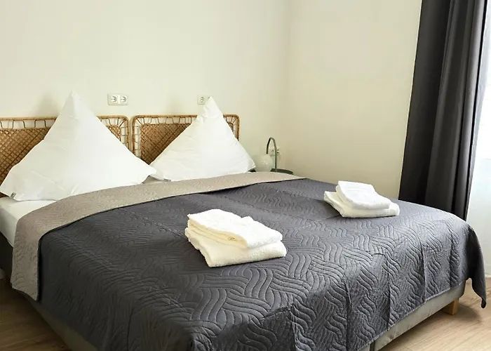 Apartments Schwandorf מלון דירות